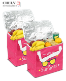 BOLSAS TERMICAS DE ALIMENTOS