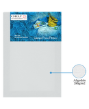 LIENZO PEQUEÑO PARA PINTAR