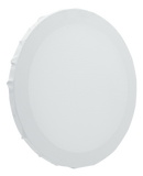 LIENZOS REDONDOS PARA PINTAR