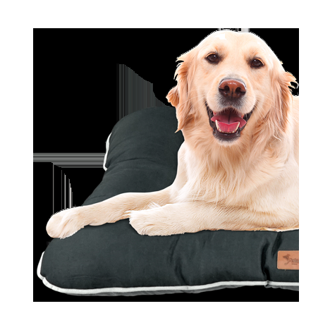 CAMA DE PERRO