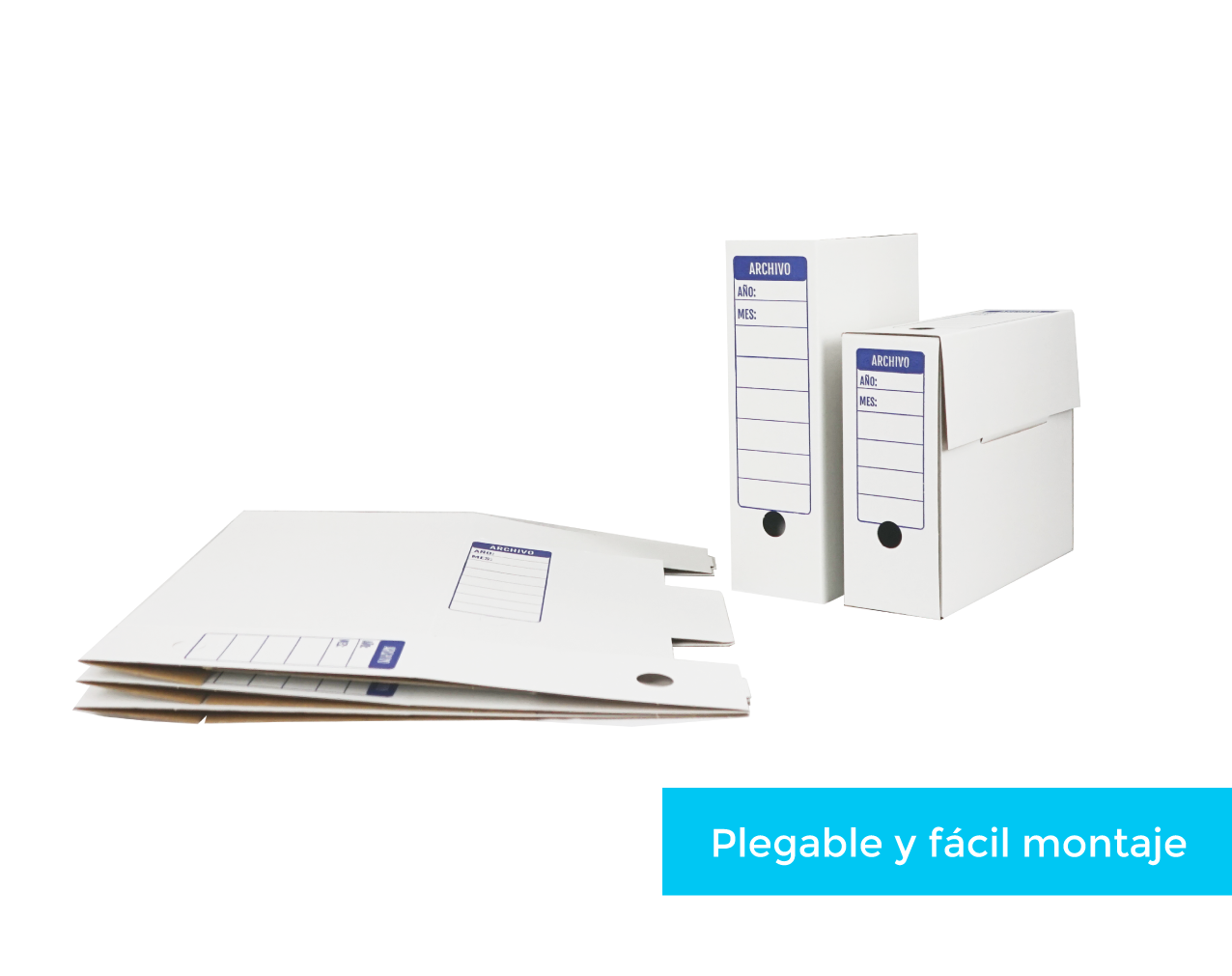 Caja de Archivador A4 - Imagen 3