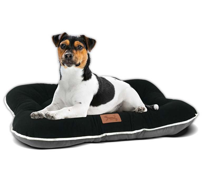 CAMA DE PERRO - Imagen 8