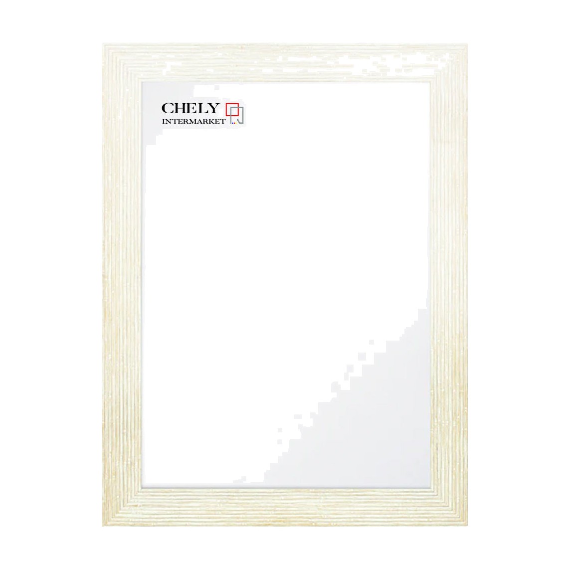 ESPEJO DE PARED CUERPO ENTERO MOD-110